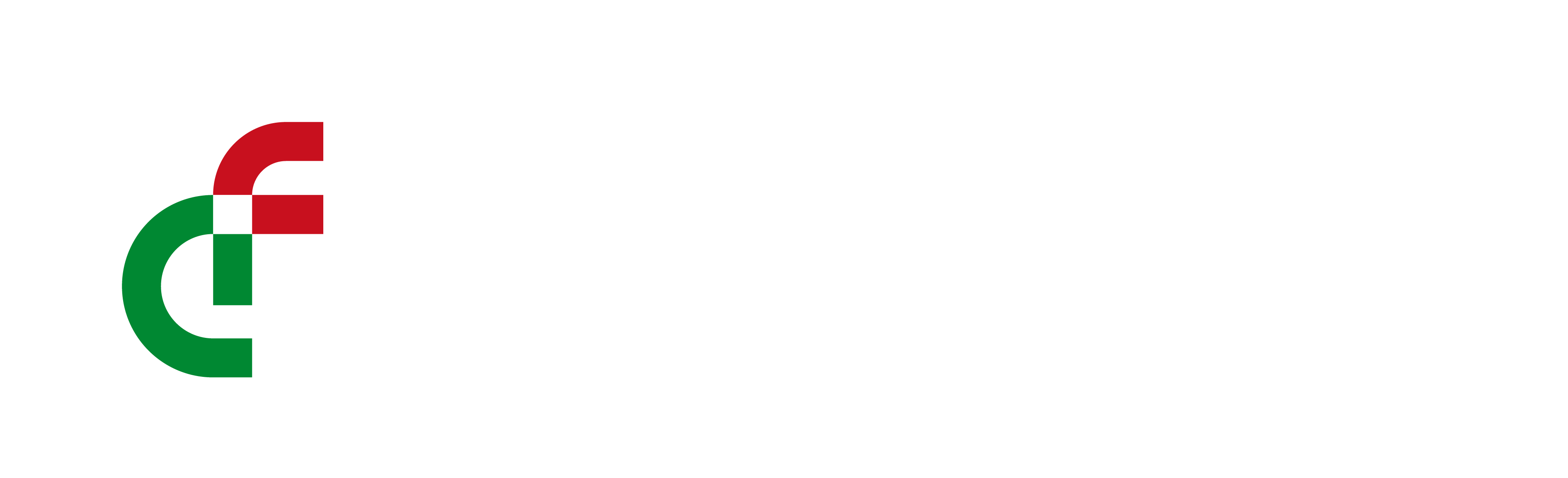 FIBERCOP