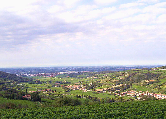 News Fibercop - FiberCop porta la fibra ottica ultraveloce a San Martino Buon Albergo